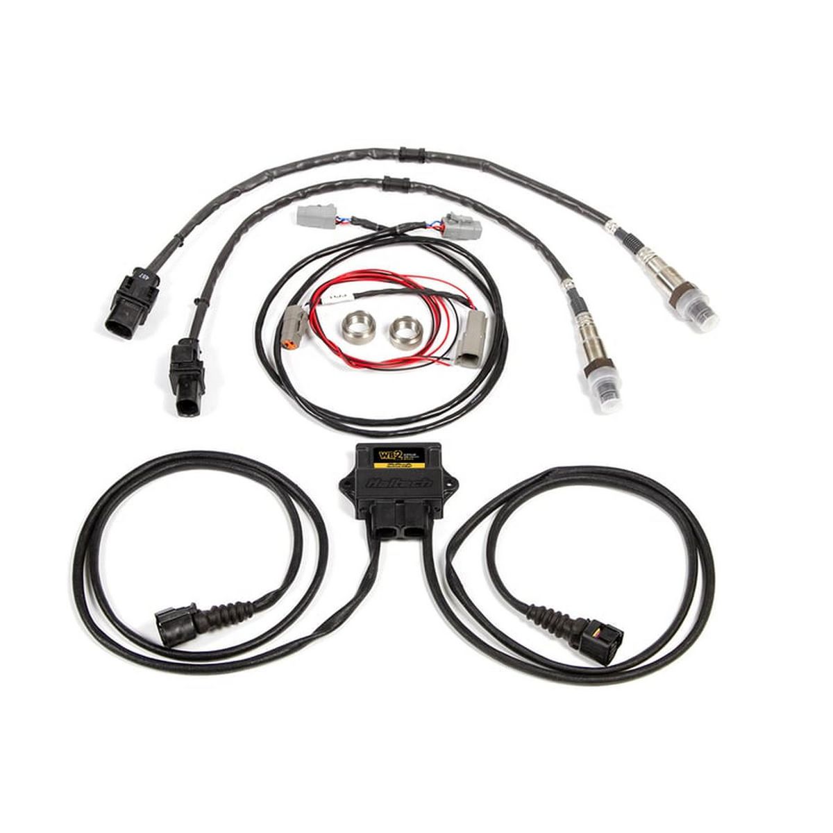 Haltech WB2 Bosch - Dual Channel CAN O2 Wideband Controller Kit HT-159986