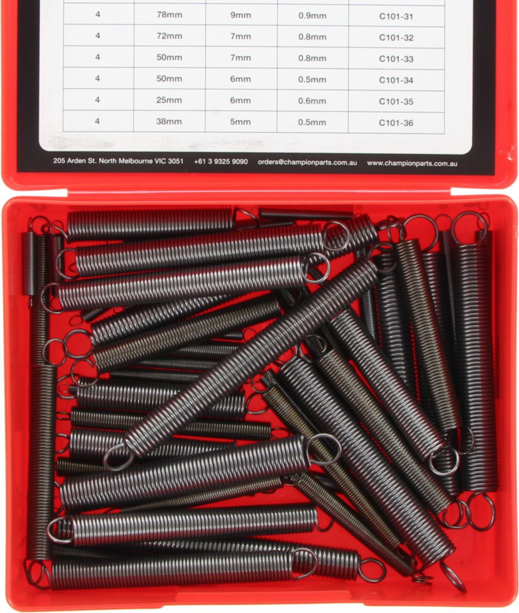 Champion Extension Spring Assortment Pack Metric 12 Sizes  48Pk CA101