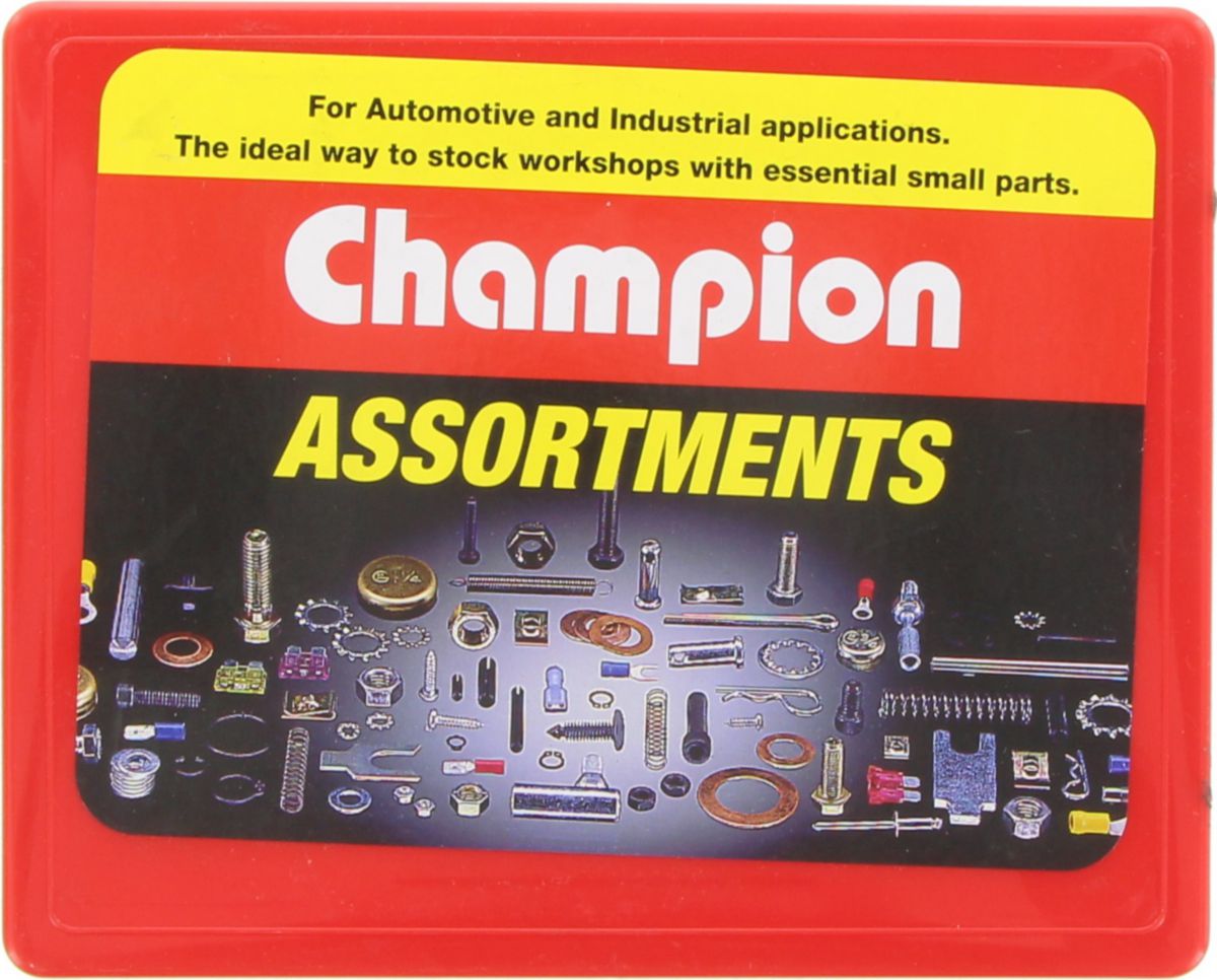Champion Extension Spring Assortment Pack Metric 12 Sizes  48Pk CA101