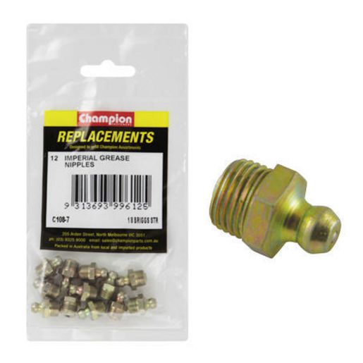 Champion Grease Nipple NPT Straight 1/8" 12Pk C108-7