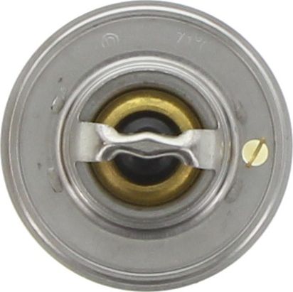 Dayco Thermostat DT14C-BP
