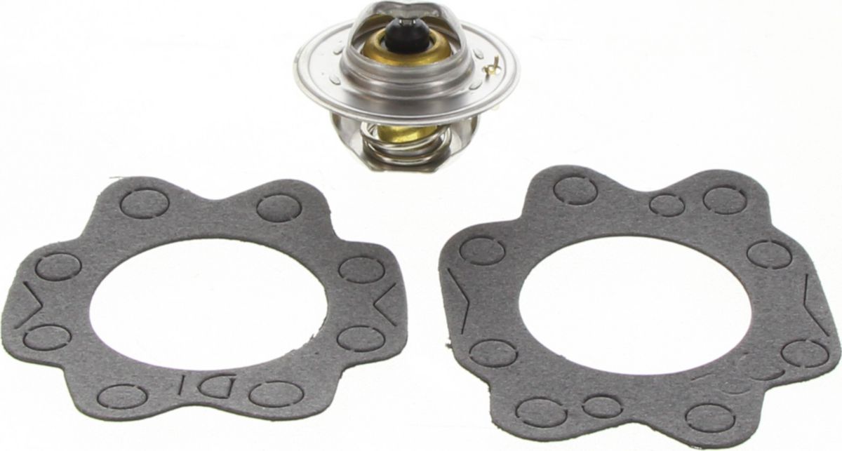 Dayco Thermostat DT14C-BP