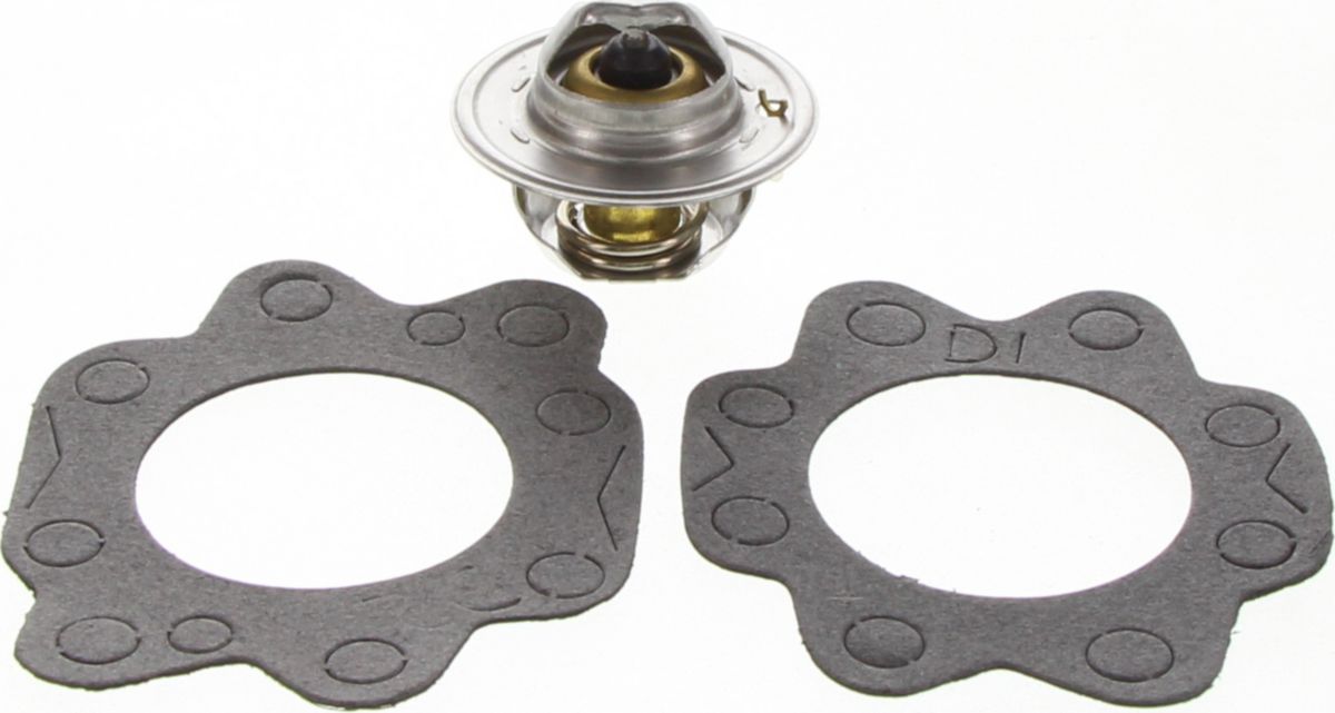 Dayco Thermostat DT14E-BP
