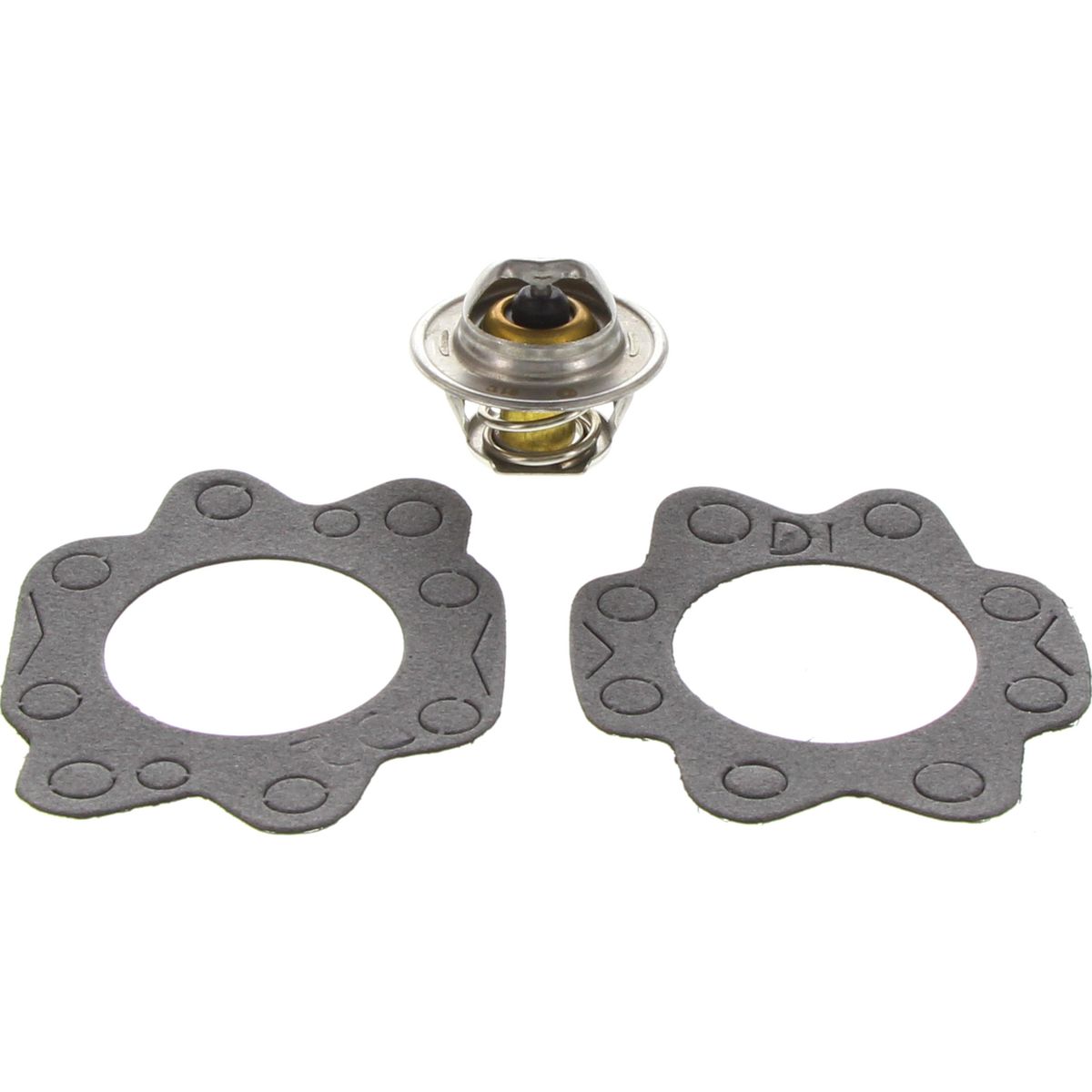 Dayco Thermostat DT16B-BP