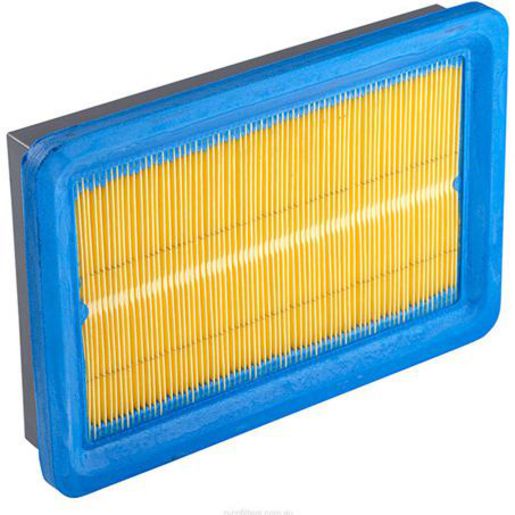 Ryco Air Filter A365
