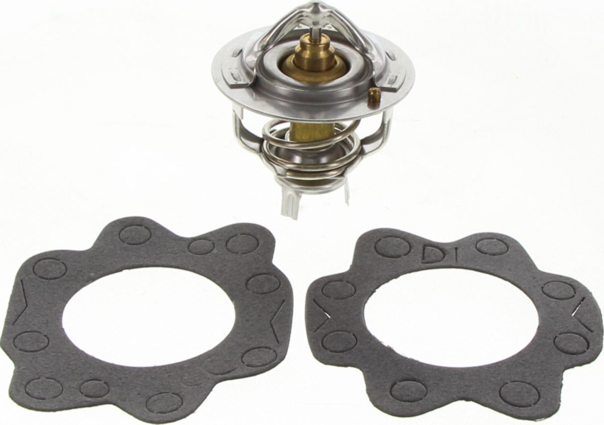 Dayco Thermostat DT19E-BP