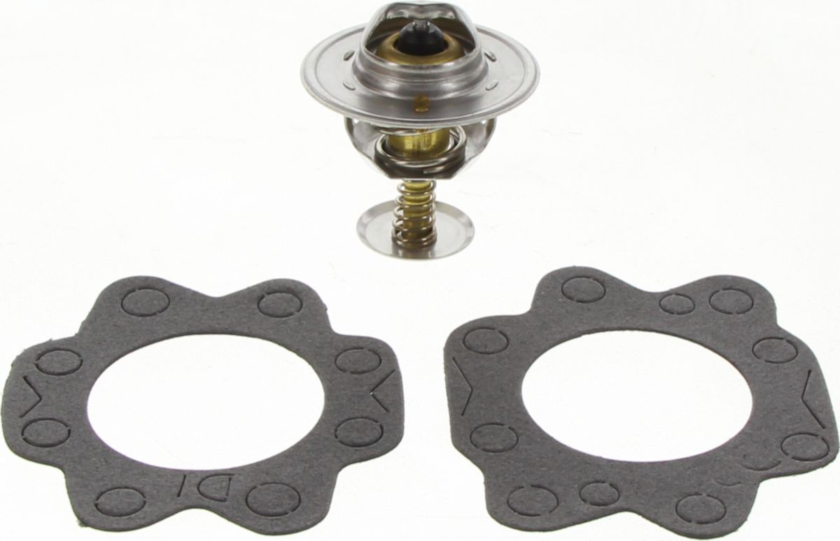 Dayco Thermostat DT21A-BP