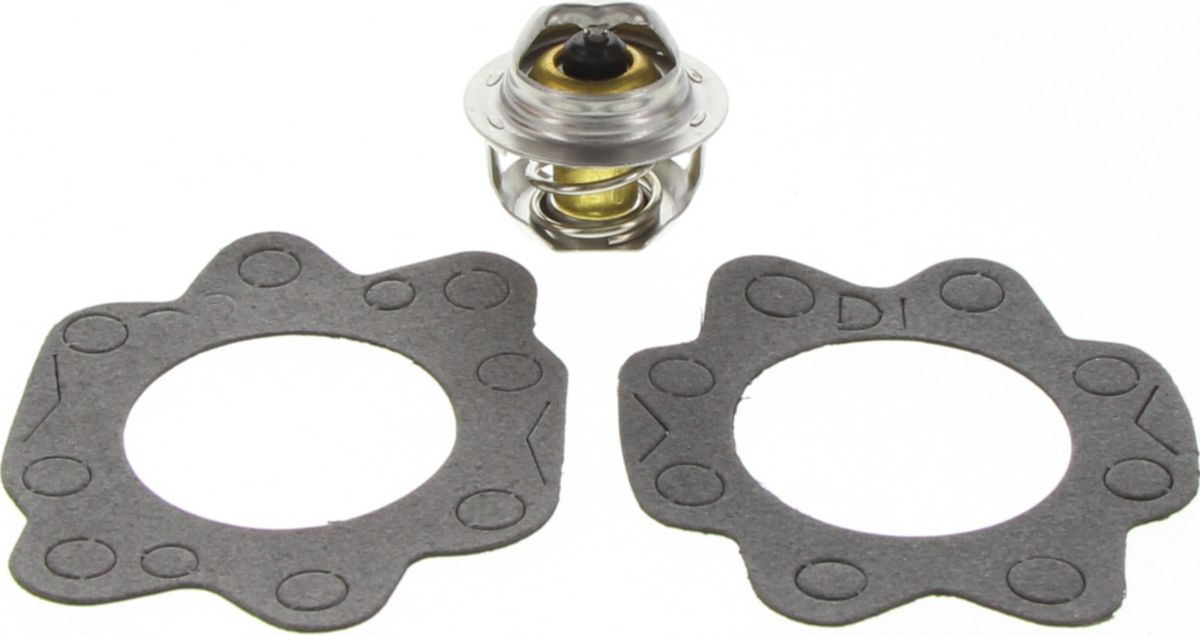 Dayco Thermostat DT26A-BP