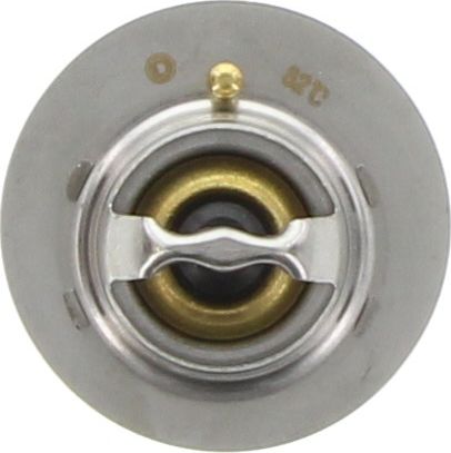 Dayco Thermostat DT29A-BP