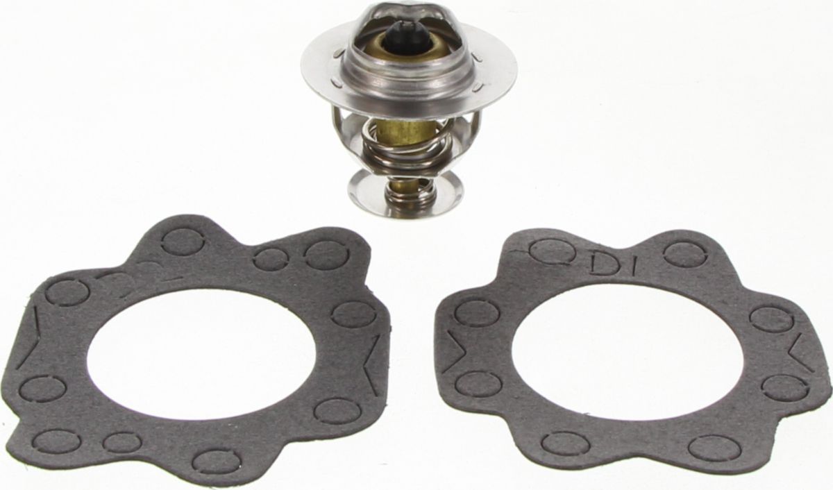 Dayco Thermostat DT29A-BP