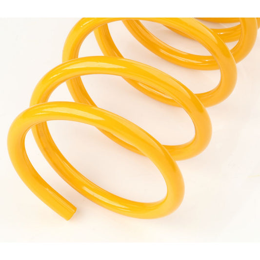 King Springs Coil Springs Standard Rear KCRS-23
