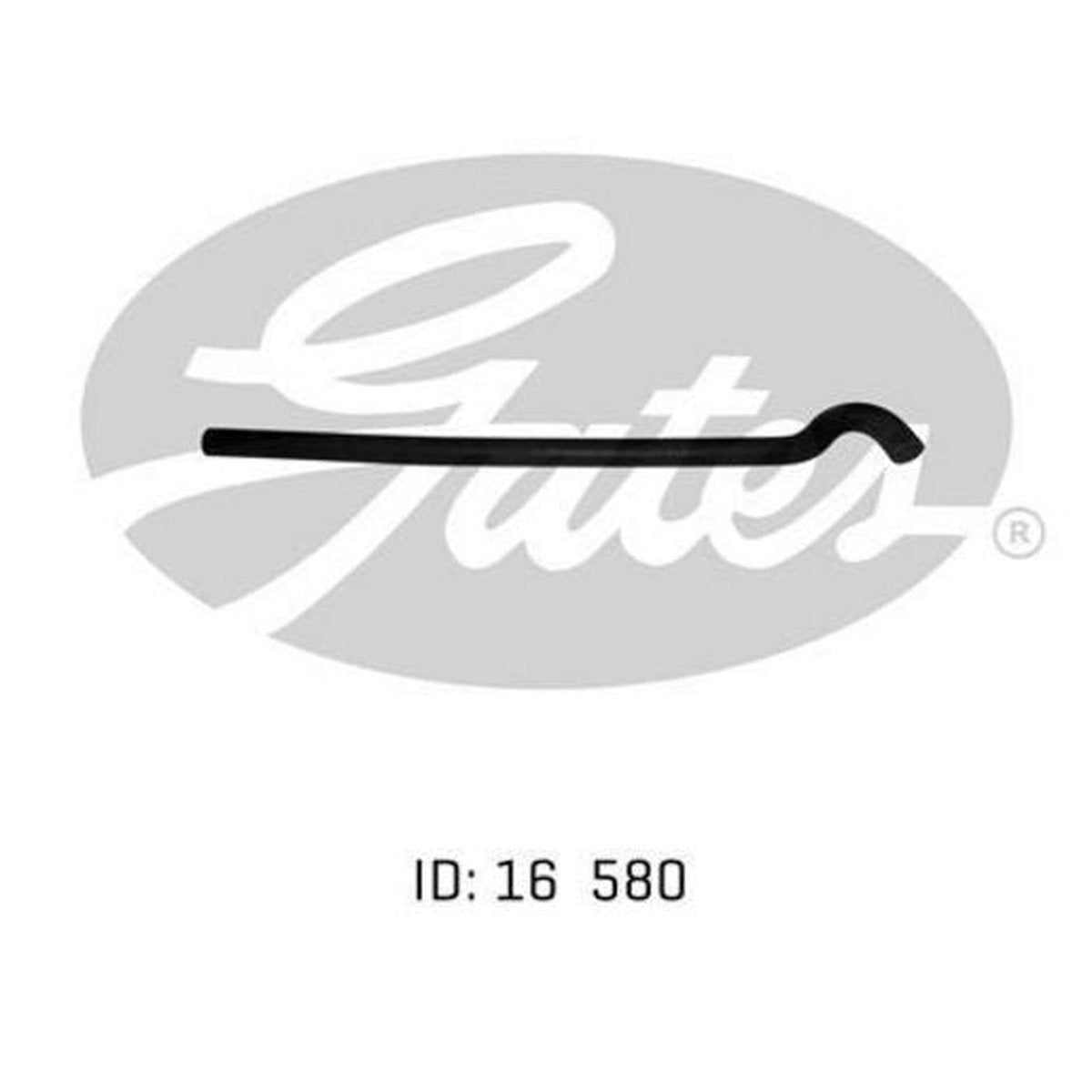 Gates Radiator Hose 02-0049