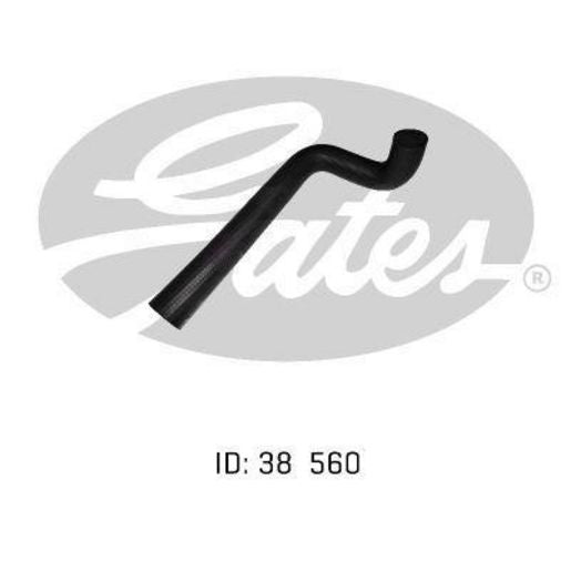 Gates Radiator Hose 05-0284