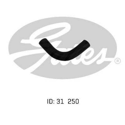 Gates Radiator Hose 05-0005