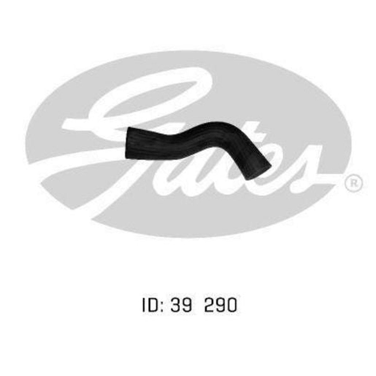 Gates Radiator Hose 05-0164