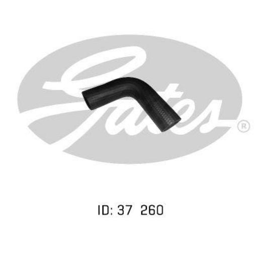 Gates Radiator Hose 05-0196