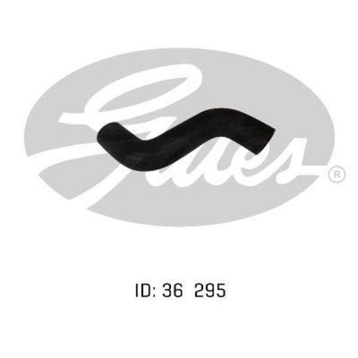 Gates Radiator Hose 05-0216