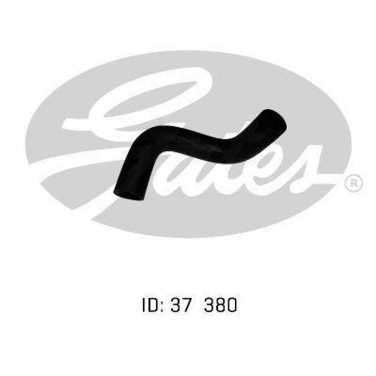 Gates Radiator Hose 05-0146