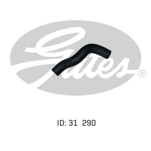 Gates Radiator Hose 05-0699