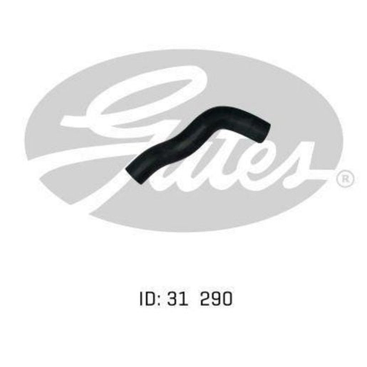Gates Radiator Hose 05-0699