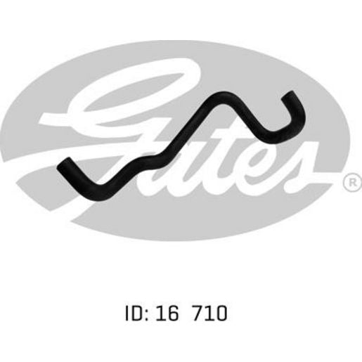 Gates Radiator Hose 02-0098
