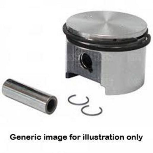 ACL Engine Parts Piston Assembly RY4101 030