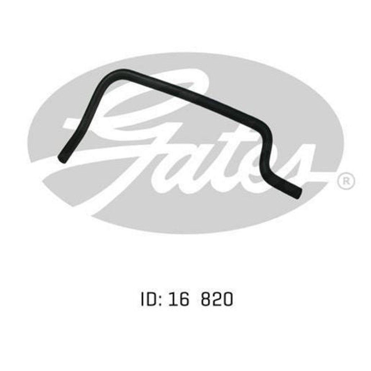 Gates Radiator Hose 02-0109
