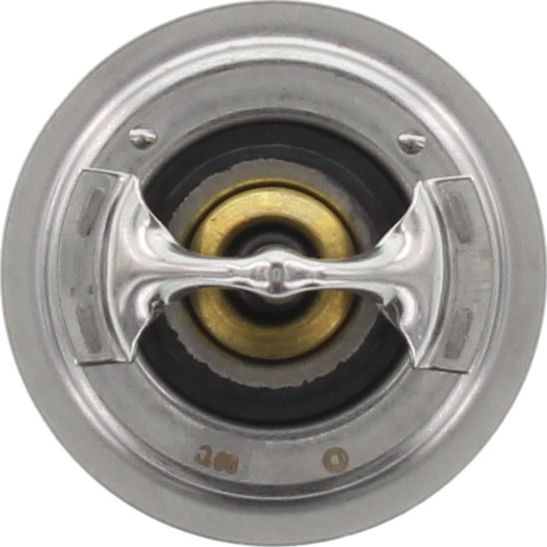Dayco Thermostat DT38G