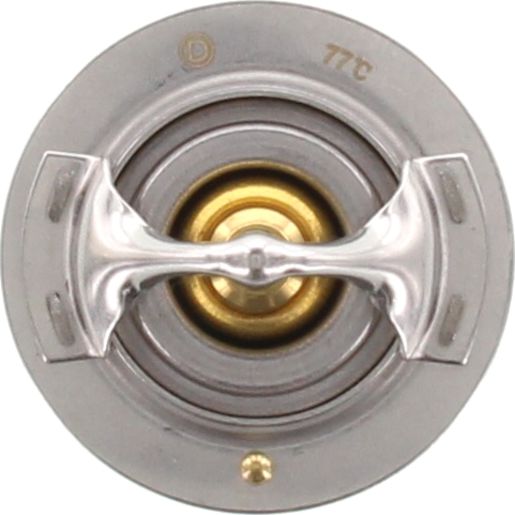 Dayco Thermostat DT40E