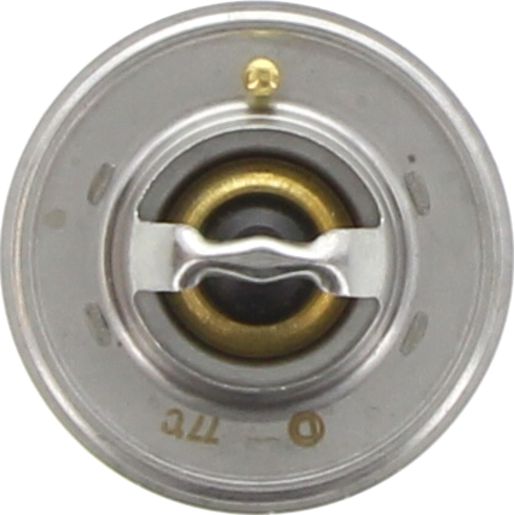 Dayco Thermostat DT42E