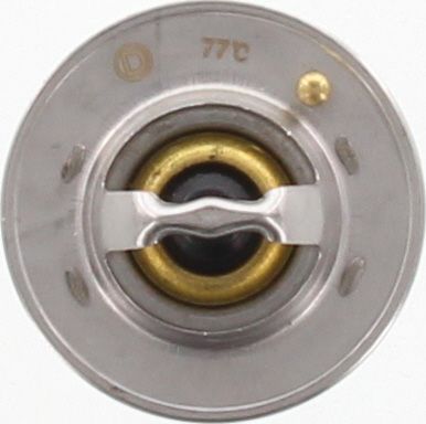 Dayco Thermostat DT46E