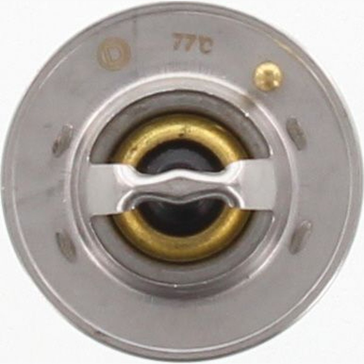 Dayco Thermostat DT46E