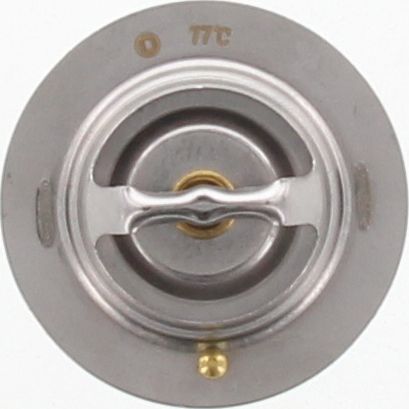 Dayco Thermostat DT49E