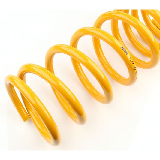 King Springs Coil Springs Raised Rear KDPR-43