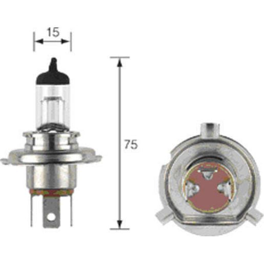 Narva H6 Pz43T Globe 12V 65/55W 48821BL