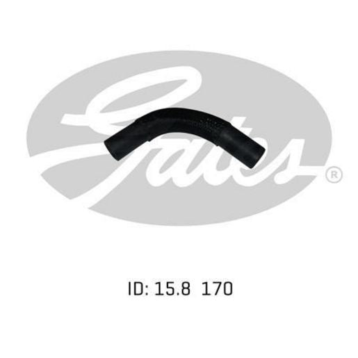 Gates Radiator Hose 02-0396