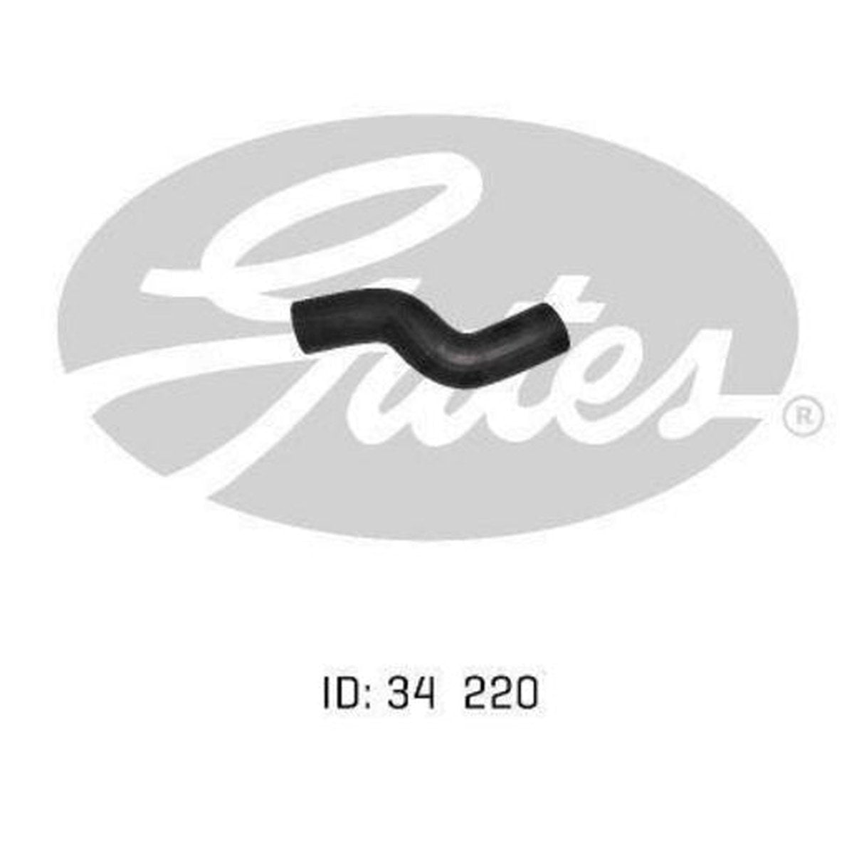 Gates Radiator Hose 05-0351