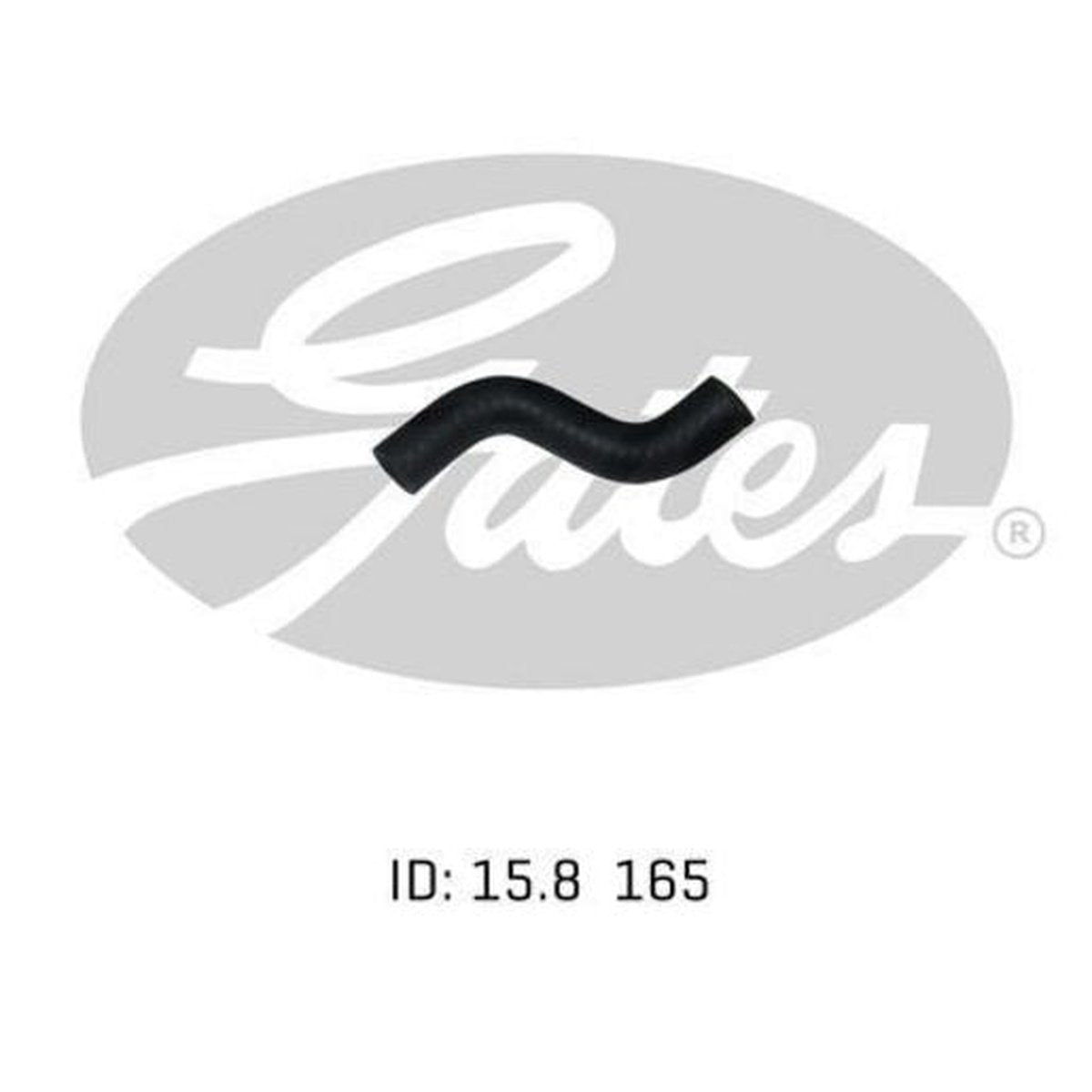 Gates Radiator Hose 02-0854