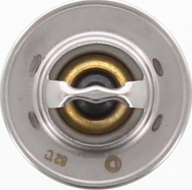 Dayco Thermostat DT50A