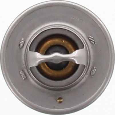 Dayco Thermostat DT55A