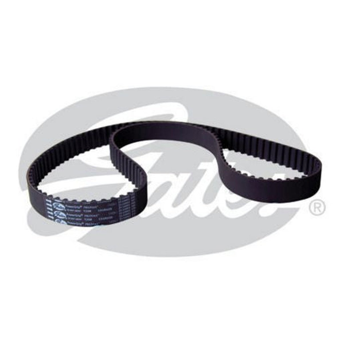 Gates Timing Belt T258