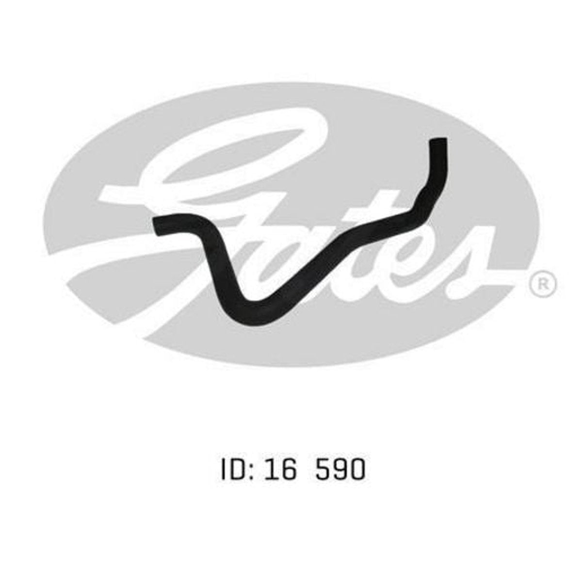 Gates Radiator Hose 02-1079