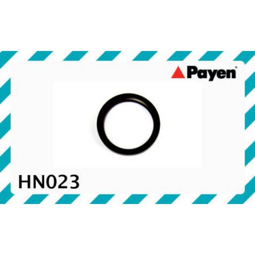 ACL Rear Main Oil Seal HN023