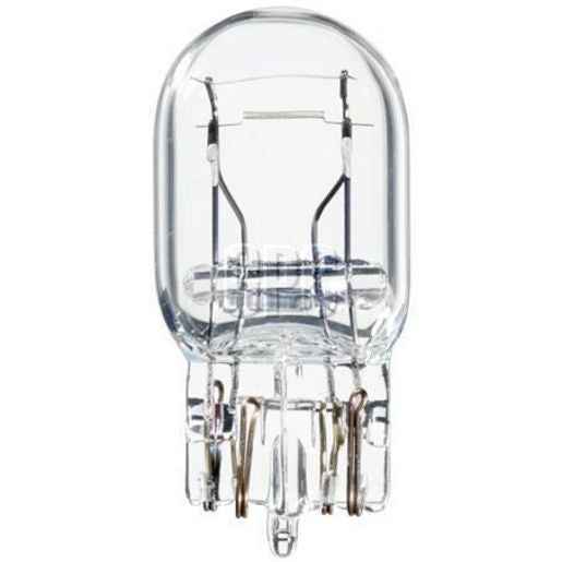 Austa Globe-Wedge Large 12V12/5Wbox(10) 580