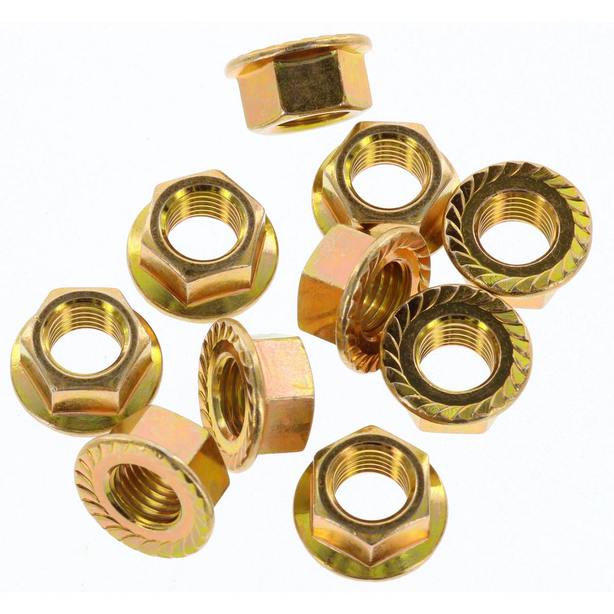 Champion Fasteners M10 X 1.25mm Nuts FBM164