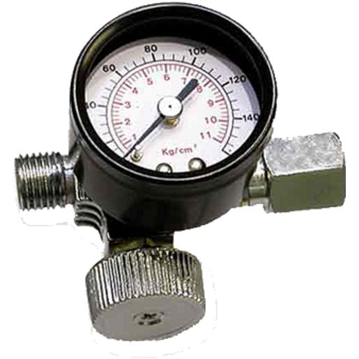 Champion Fasteners In Line Regulator/Gauge 1/4in BREG02