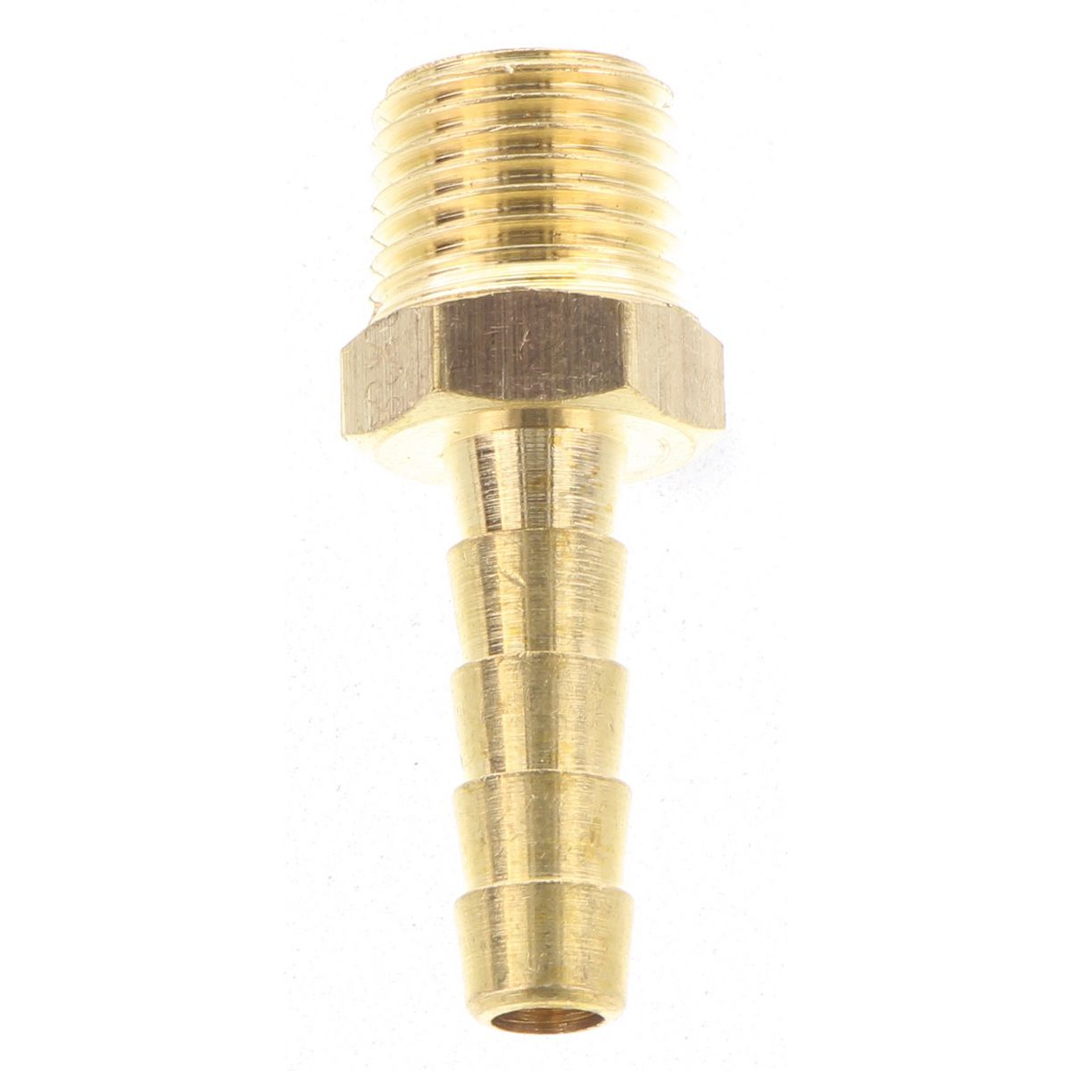 Champion Fasteners Hose Tail Straight Male Brass 1/4 X 1/4In B207B