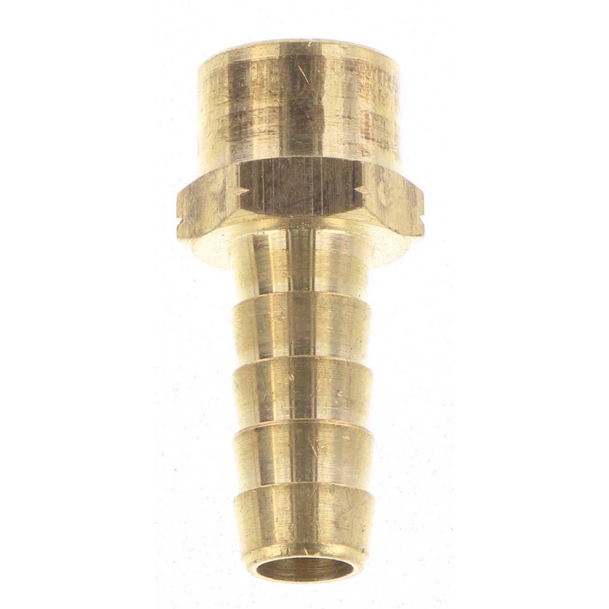 Champion Fasteners Hose Tail Straight Female 3/8 X 1/4In B238