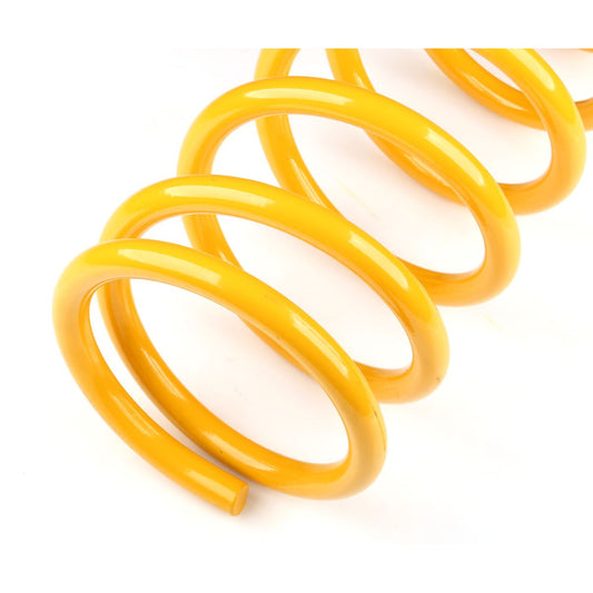 King Springs Coil Springs Raised Rear KDRR-45
