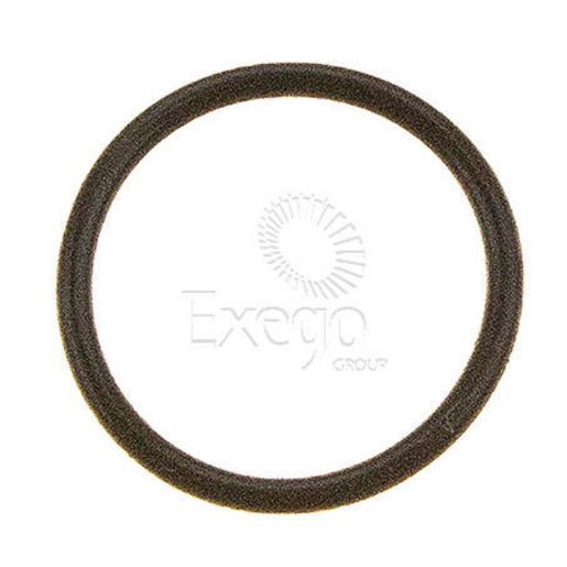 Transtec O-Ring-Primary Reg.Vlv M85>97 0585-141019